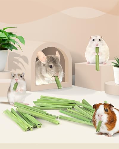 Bissap 25 PCS Guinea Pigs Chew Sticks, Natural Papaya Stems Bunny Chews Treats for Hamsters Chinchillas Small Animals Organic Molar Chewing Snack - size: 25 PCS