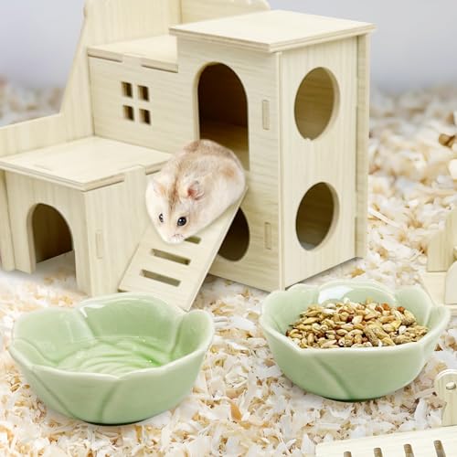 BNOSDM 2 Pcs Hamster Ceramic Food Bowl Flower Series Gerbil Drinking Bowls Anti-Turning Food & Water Dish for Dwarf Syrian Hamsters Gerbil Chinchilla（Green, Rose Pattern） - color: Green