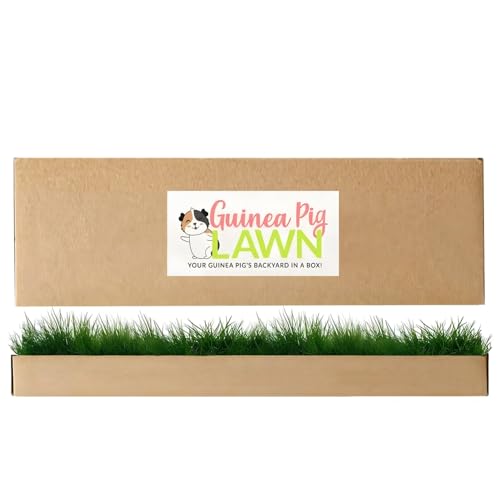 Guinea Pig Pee Pads, Fresh Grass Mat, Hamster Small Pet Bed 24x9 | Hydroponically grown grass with 2x the grazing area - great for guinea pigs, hamsters, hedgehogs, and multi-pet households - size: 24X9 inch