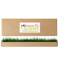 Guinea Pig Pee Pads, Fresh Grass Mat, Hamster Small Pet Bed 24x9 | Hydroponically grown grass with 2x the grazing area - great for guinea pigs, hamsters, hedgehogs, and multi-pet households - size: 24X9 inch