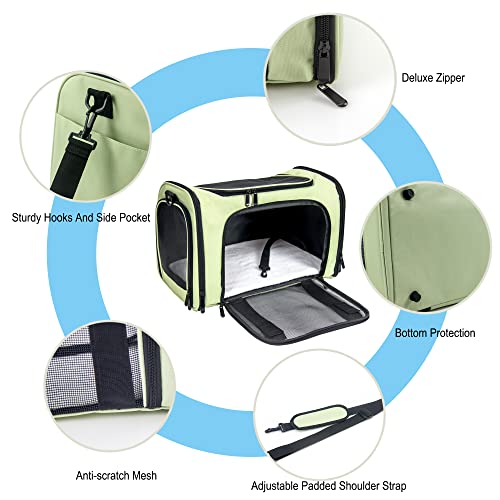 Soft Sided Carrier for Small Medium Cats Dogs,TSA Airline Approved Collapsible Travel Pet Carrier Medium Green - color: Green, size: Medium