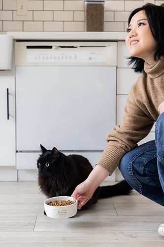 Pearhead Meow Ceramic Cat Bowl, Holds 1.3 Cups, Small Food and Water Bowl for Cats, Pet Dish, Microwave and Dishwasher Safe (Pack of 12) - color: Speckled "Meow", size: Single Bowl (Pack of 12)