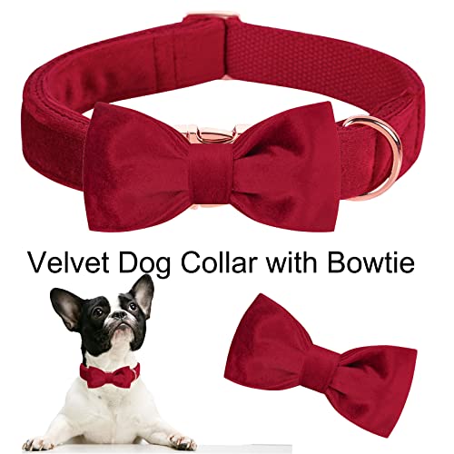ARING PET Velvet Dog Collar-Soft Bowtie Dog Collars with Metal Buckle, Cute&Comfortable Christmas Red Dog Collar with Bow for Small Medium Large Dogs - color: B-Christmas Red, size: X-Small (Pack of 1)