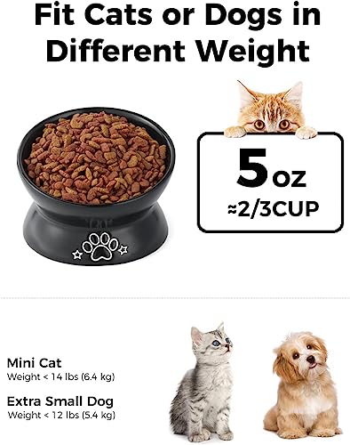 LoeJan Elevated Cat Food Bowl, 5 Oz Ceramic Raised and Tilted Water Bowl, Anti Vomiting and Protect Pets' Spines Dishes for Small Dog, Fat Faced Cat, Kitten (Black Pattern, 1 Pack) - color: Black Pattern
