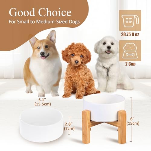 Ceramic Elevated Dog Bowl with Bamboo Stand, for Small & Medium Dog, White - color: White, size: Medium
