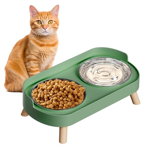 Elevated Cat Bowl, Raised Cat Food and Water Bowl Set for Indoor Cats, Splash Proof with 2 Stainless Steel Pet Food Bowls for Cats and Puppies, Whisker Fatigue and Dishwasher Safe - Green - color: Cat Bowls-Green