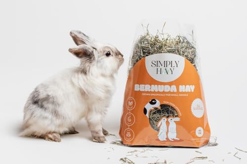 Bermuda Hay – High-Fiber, Low-Calcium Coastal Grass for Rabbits, Guinea Pigs & Small Pets – All-Natural, Hand-Packed, Timothy-Allergy Friendly (40 oz) - size: 2.5 Pound (Pack of 1)