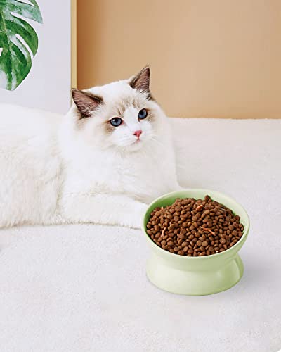 LoeJan Elevated Cat Food Bowl, 5 Oz Ceramic Raised and Tilted Water Bowl, Anti Vomiting and Protect Pets' Spines Dishes for Small Dog, Fat Faced Cat, Kitten (Green, 1 Pack) - color: Green
