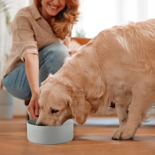 6'' Ceramic Dog Bowl - 30Oz Classic Dogs Food & Water Bowl for Small and Medium Breed Dogs, Heavy Duty Non-Slip Dog Dishes, Food Grade Stoneware Pet Bowl, Dishwasher & Microwave Safe, Grey - color: Bowl - Grey, size: 6 inch
