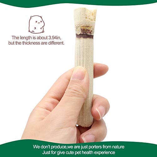 BWOGUE 500g Sweet Bamboo Chews for Rabbits, Rabbit Chew Toys Bamboo Sticks | Rabbit Bamboo Chew Sticks, Bamboo Sticks for Rabbits, Bamboo for Rabbits, About 50-60 Sticks, 3.94 in, Rabbits Guinea Pigs - size: 1.1 Pound (Pack of 1)