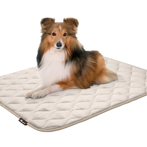 Paw Inspired Washable Padded Crate Mats for Dogs, Beige, 41x28 Inch | Fits 42-inch Kennels, Leakproof, Waterproof Bottom, Plush Dog Pad, Pet Bed - color: Tan, size: 42 Inch