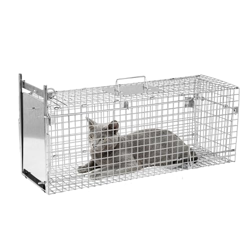 32" Heavy-Duty Folding Live Animal Trap Cage | Animal Trap Cage for Stray Cats,Raccoons,Armadillos and Rabbits