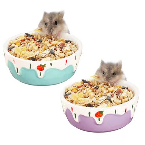 VanEnjoy 2 Pack Hamster Food Bowl Small Ceramic Water Food Bowl for Cage Small Animal Bowls for Hamster Guinea Pig Chinchilla Rabbit - Blue and Purple - color: Blue and purple
