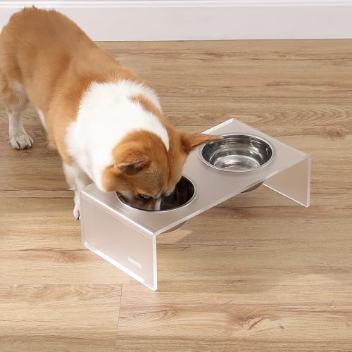 DBL2000K Keaton 5" Small/Medium Modern Acrylic Rectangular Elevated Pet Feeder with 20oz 2-Stainless Steel Bowls, Moon White/Chrome - color: Moon White/Chrome, size: 20 Ounces (5" Cups 2-Pack)