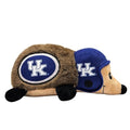 NCAA Kentucky Wildcats Plush Hedgehog Toy for Dogs & Cats, Cool Soft Pet Toy for Fun and Interactive Play, Dog Chew Toy with Squeaker, Licensed Hot Pet Toy - color: Kentucky Wildcats