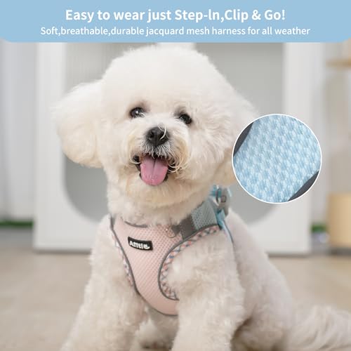 XXS Dog Harness & Leash Set - Breathable Reflective No-Choke Small Dog Harness for Teacup Puppies, Indoor/Outdoor Use - Boston Terrier, Maltese, Chihuahua (Blue-Pink, XXS) - color: Blue-Pink, size: XXS(Chest: 10 - 11.5")
