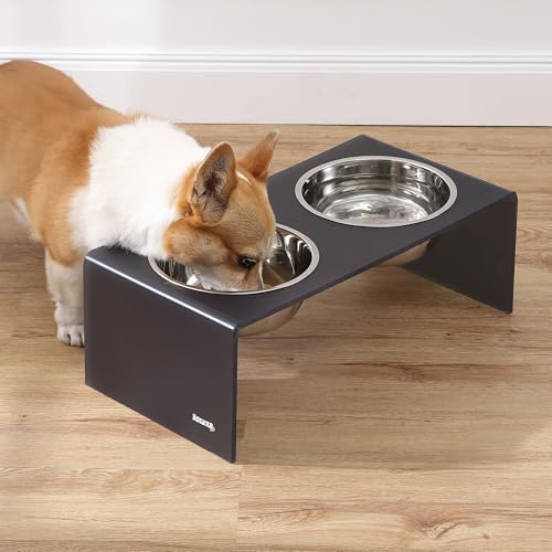 DBL2001J Keaton 7.5" Medium/Large Modern Acrylic Rectangular Elevated Pet Feeder with 54oz 2-Stainless Steel Bowls, Dark Gray/Chrome - color: Dark Gray/Chrome, size: 54 Ounces (7.5" Cups 2-Pack)