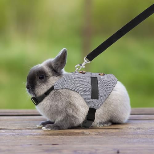 Rabbit Vest Harness and Leash Set Adjustable Formal Suit Style for Bunny Kitten Small Animal Walking (M) - size: M
