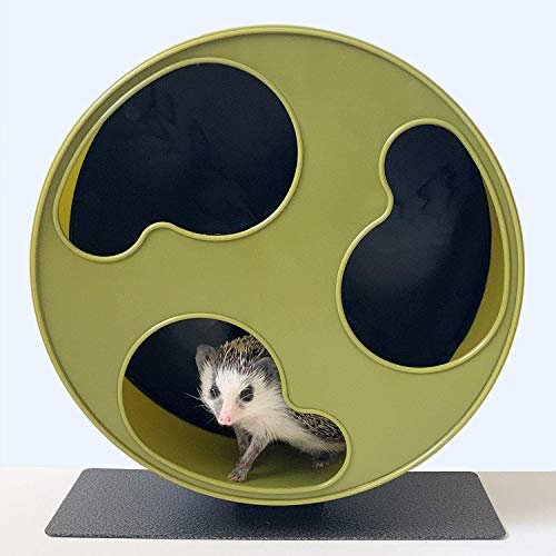 Exotic Nutrition Starter Package for Hedgehogs - Includes Exercise Wheel, Healthy Food, Natural Treat, Multi-Vitamin & Hideout
