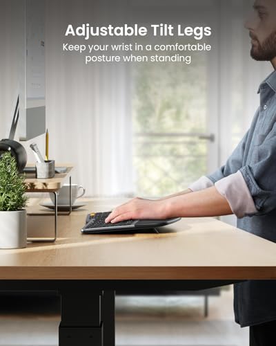 ProtoArc EKM01 Plus Wireless Ergonomic Keyboard Mouse Combo - Gray Black | Full-size Split Keyboard with Cushioned Wrist Rest, Ergonomic Mouse, 3-Device Bluetooth/2.4G, USB-C Rechargeable - color: Gray and Black