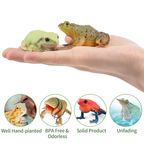 Toymany Frog Toy Figures, Plastic Rainforest Woodland Animals Toy Frogs Set with Realistic Poison Dart Frog, Cake Topper Party Favor Garden Flowerpot Plants Decor - style: Jungle Animal-2