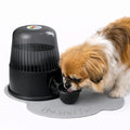 Pet Water Dispenser for Dogs and Cats, 67.6 oz – Gravity-Fed Water Bowl for Clean Drinking, Prevents Wet Fur, BPA-Free Polypropylene, Vida Mansa (Clear Black) - color: Clear Black