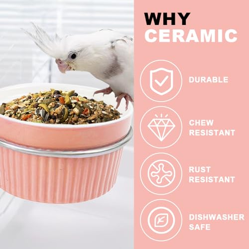 Bird Cage Feeder Parrot Food Cage Bowl Clamp Holder Coop Cup, Ceramic Bird Cage Water Bowl, Pet Feeder Cage for Parakeet African Greys Conure Cockatiels Lovebird Budgie Chinchilla-Pink - color: pink