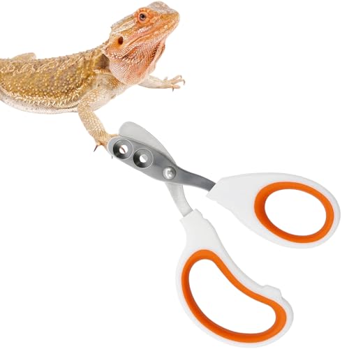 Stainless Steel Bearded Dragon and Lizard Nail Clippers (Orange), Bearded Dragon Supplies, Durable Reptile Grooming Tool, Nail Scissors for Small Reptiles, 10.3 x 6.6 cm