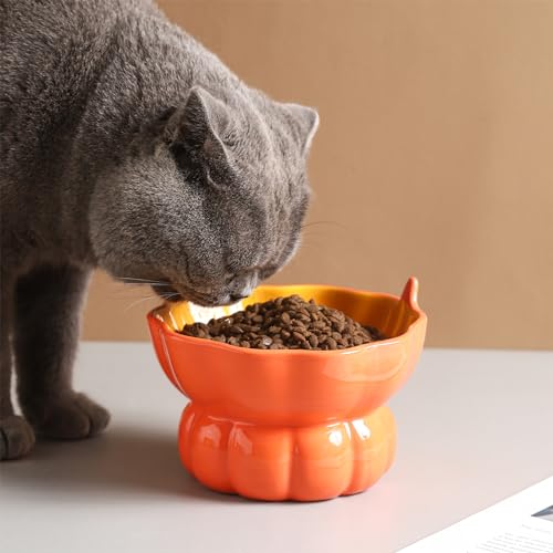 Cute Pumpkin Shaped Raised Ceramic Cat Water Bowl, 9 oz | Whisker Friendly, Anti Vomiting, Elevated Design, Indoor Cats - color: Orange