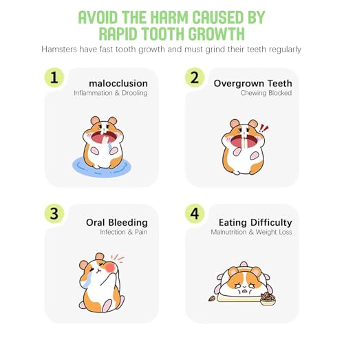 Hamster Chew Toys for Teeth,Hamster Treats 5pcs(Forest Theme) | Made with Natural Timothy Grass & Vegetables,Improve dental health for Hamster,Guinea Pig,Bunny, Chinchilla Small Animal Toys