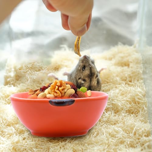 Small Guinea Pig Food Bowl Pumpkin-Shaped Cute Ceramic Hamster Water Bowl Ferret Rat Chinchilla Rabbit Feeding Dish Young Animal Feeder(Brown) - color: Brown