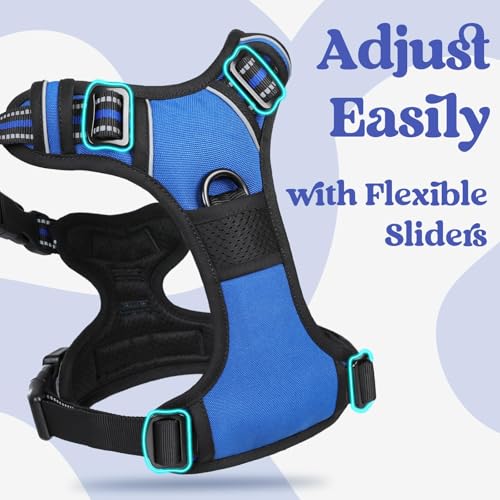rabbitgoo Dog Harness Small Sized, Updated Easy On & Off with 3 Buckles | No Pull No Choke, Walking with 2 Clips and Handle, Adjustable Soft Reflective, Blue, Small - color: Blue, size: Small