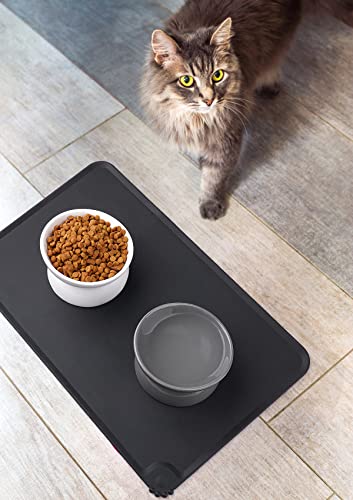 LoeJan Elevated Cat Food Bowl, 5 Oz Ceramic Raised and Tilted Water Bowl, Anti Vomiting and Protect Pets' Spines Dishes for Small Dog, Fat Faced Cat, Kitten (White & Grey) - color: White & Grey