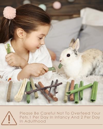Bissap 54 PCS Rabbit Chew Sticks, Mix Natural Sweet Bamboo Timothy Hay Oat Carrot Chew Stick Apple Branch Bunny Chews for Rabbit Hamster Chinchilla Guinea Pig Small Pet Molar Treats - size: 0.3 Ounce (Pack of 54)