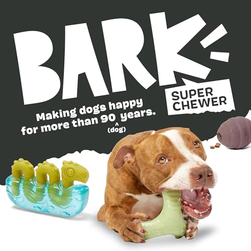 BarkBox Sven The Hedgie Super Chewer Dog Toy - Large | Natural Rubber, Wacky Bounce & Rippled Texture | Durable Dog Toy for Aggressive Chewers, Medium to Dogs - color: Sven the Hedgie - Large