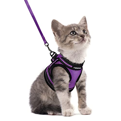 rabbitgoo Cat Harness and Leash Set, Step-in Soft Vest, Purple | Escape Proof, Lightweight, Easy-on & Adjustable, Hook & Loop with Buckle, Reflective, for Kittens & Small Cats Walks, S - color: Purple, size: S