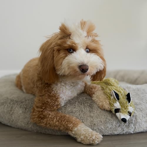 SPOT Skinneeez Raccoon 23 Inch Stuffing-Free Dog Toy – Soft Plush Tug Toy with Two Squeakers for Medium and Large Dogs – Mess-Free Interactive Chew Toy - style: Raccoon
