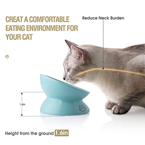 Sweejar Ceramic Raised Cat Bowls, Slanted Cat Dish Food or Water Bowls, Elevated Porcelain Pet Feeder Bowl Protect Cat's Spine, Stress Free, Backflow Prevention (Turquoise)