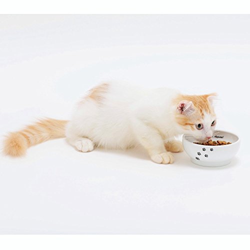 Necoichi Shallow Wide Ceramic Cat Food & Water Bowl (Paw, Basic Flat) - color: Cat-