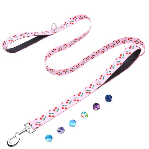 5ft Dog Leash with Two Padded Handles, Heavy Duty Strong Nylon Pet Leash with Soft Neoprene Handle for Small Medium Large Dogs, Cherry - color: Cherry, size: 1 in x 5 ft