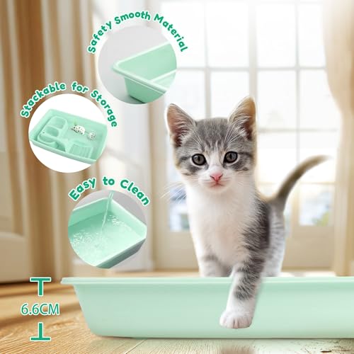 PAWISE Cat Litter Box Set, Small Kitten Starter Kit, Includes Litter Box, Litter Scoop, Double Dish Feeding Bowl, Cat Mouse Toy, Kitty Ball Toy, Green - color: Green