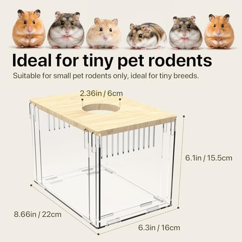 Fully Detachable Hamster Digging Box, Removable Acrylic Panels & Wooden Lid, Extra Deep Clear Panoramic Burrow, Dual-Side DIY Habitat, M Size for Syrian Hamsters, Gerbils, Degus - size: 8.7"L x 6.1"W x 6.3"H