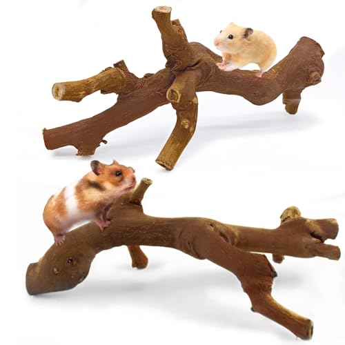 kathson 2PCS Wood Hamster Climbing Branches Decor, Natural Wooden Syrian Hamster Climb Chewing Toys, Rat Exercise Toys, Small Animal Habitat Decor Accessories for Dwarf Pets, Gerbils, Mice (7.8IN) - size: 7.8IN
