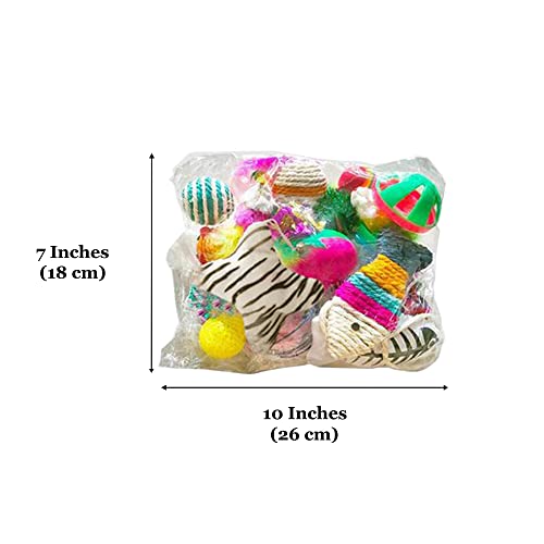 CoCoo Ferret & Cat Toy Variety Pack, Activity Set of Mylar Balls, Chew Toys, Catnip Pouches, Play Mice & Bells, Great for Persians, Maine Coons, Calicos & Tabby Cats, 20 Pcs