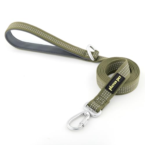 Plutus Pet Heavy Duty Dog Leash with Lockable Aluminum Carabiner, 6 FT Long | Double-Sided Reflective Nylon, Padded Handle, Heavy Duty, for Puppy Small Medium and Large Dogs (Ranger Green, 4/5" x 6') - color: Ranger Green, size: 4/5" x 6'