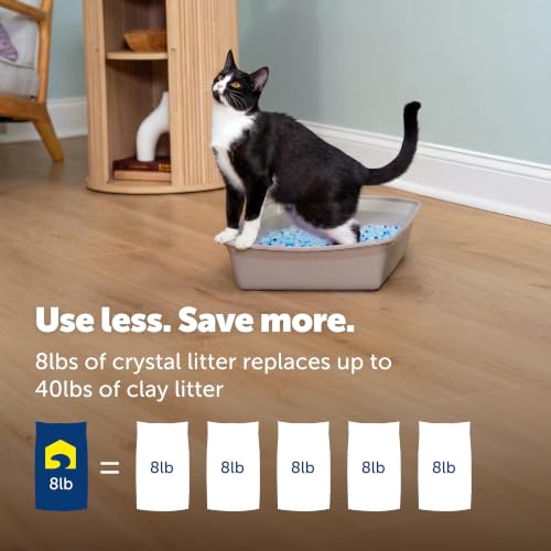 PetSafe ScoopFree Odor Control Crystal Cat Litter, Fresh Scent, 8 Lb Bag | 5x Faster Odor Control than Clumping Clay Litter, 99% Dust-Free, Low Tracking Crystals, Compatible with Any Cat Litter Box - size: 1-Pack (8 lb Bag)