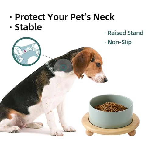 Havniva Raised Cat Bowl 6.1” Elevated Ceramic Cat Food and Water Bowl | Cat Bowls Elevated, Whisker Friendly Cat Bowl, Non-Slip Wood Stand, Food-Grade Ceramic, Wide Opening, Dishwasher Safe - color: 1 x Bowl + Stand - Light Green, size: 6.1inch