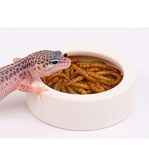 Reptile Food Water Bowl, 2 pcs Ceramic Mealworm Bowl, Large | Anti-Escape, Reptile Water Feeder ,Worm Dish for Lizard Gecko Bearded Dragon - size: Large