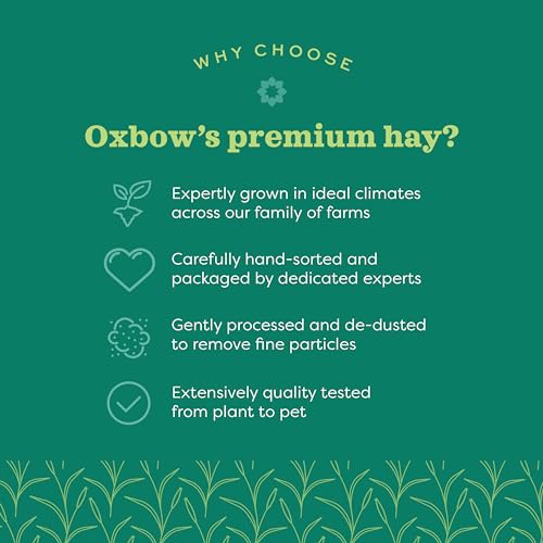 Oxbow Western Timothy & Orchard Grass Hay Blends for Small Pets, High-Fiber, Hand-Sorted Rabbit & Guinea Pig Hay, All Natural Grass Blend for Chinchillas, Bunnies & Guinea Pigs, Made in USA, 15 oz | Oxbow Timothy Hay, Bunny Hay For Rabbits, Guinea Pigs, B