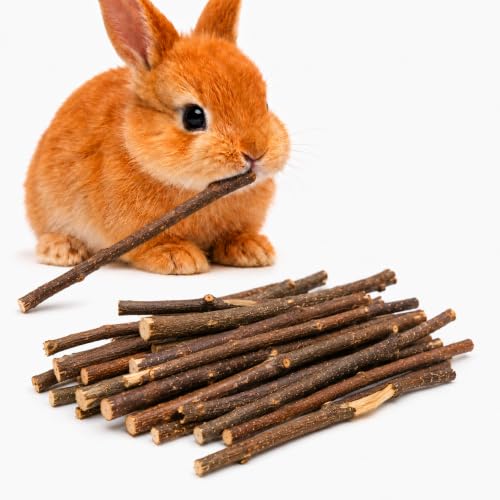 SunGrow Apple Sticks, Wood Chew Treats for Rabbits, Chinchillas, Bunny, Hamster, Squirrel, Guinea Pigs, Small Animals Teeth Grinding 100g (3.5 oz)